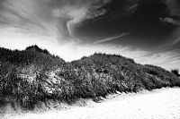 atmosfere dal Mare del Nord #4