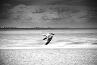 atmosfere dal Mare del Nord #7