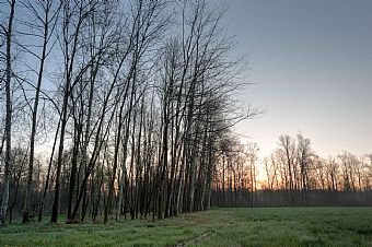 alba alla Fontane Bianche #2