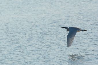 e ora non mi prenderai più!