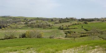 paesaggio toscano #2