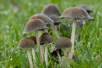 ... poi li riabbasso