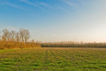 ... presso la Piave