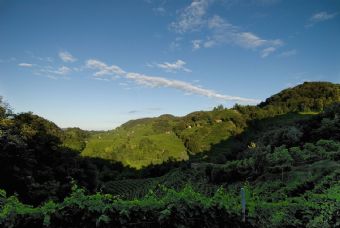 colline del prosecco