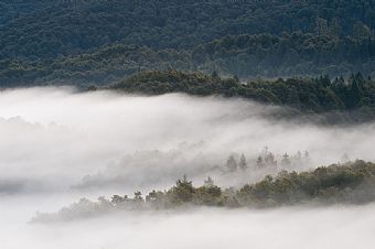 nebbia