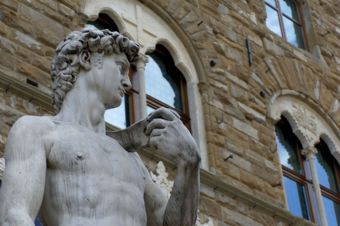 il DAVID di Michelangelo Buonarroti #2