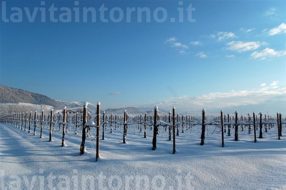 una piacevole nevicata