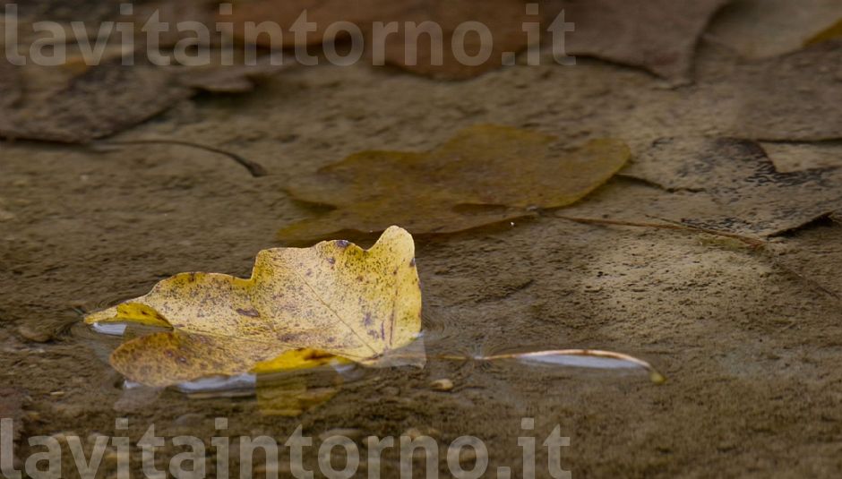 ... a volte immobile!