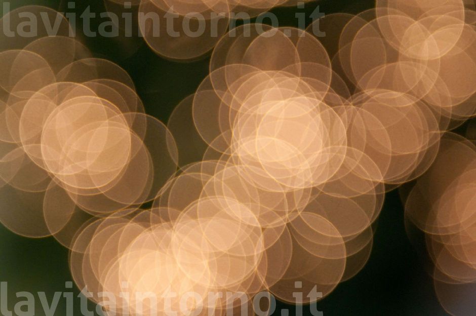 luci di una festa annunciata #4