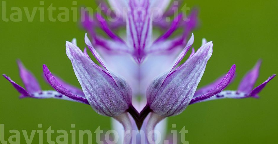 architetture improbabili