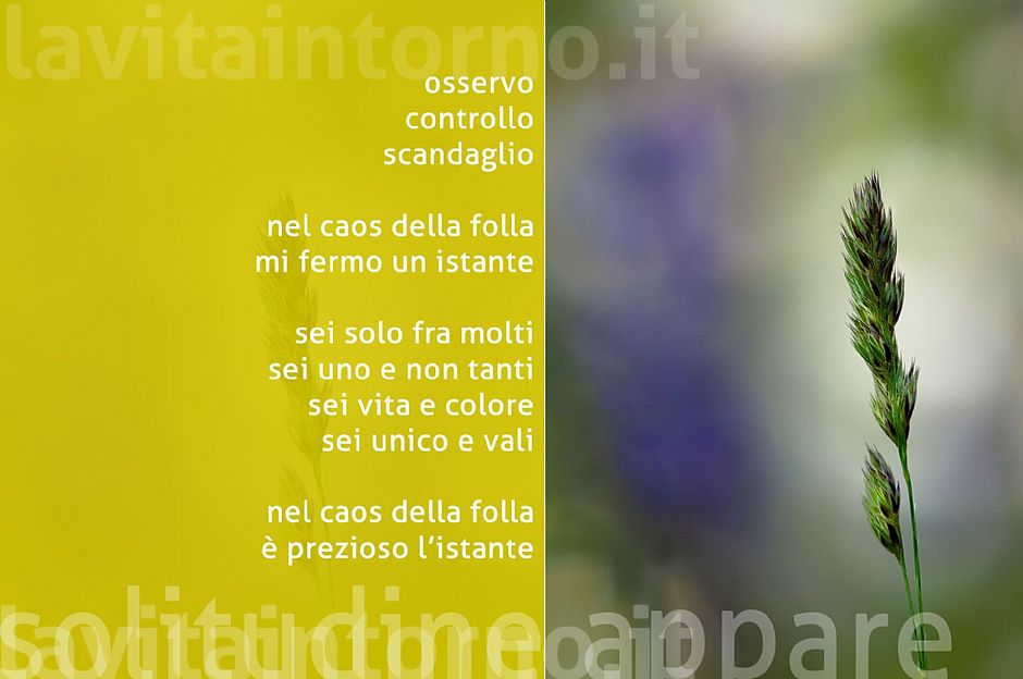 natura rap