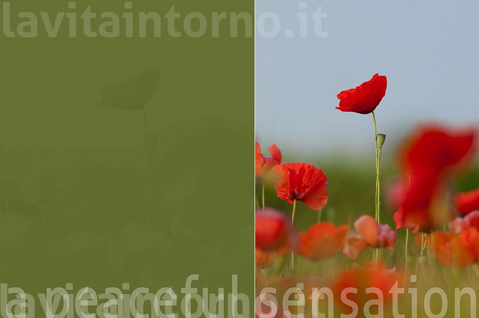 a peaceful sensation