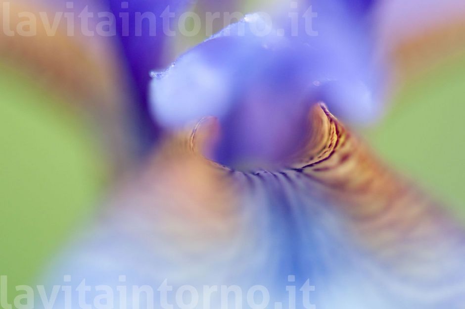 soft colors #3
