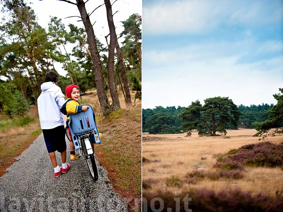 w/bike @ De Hoge Weluwe National Park #2
