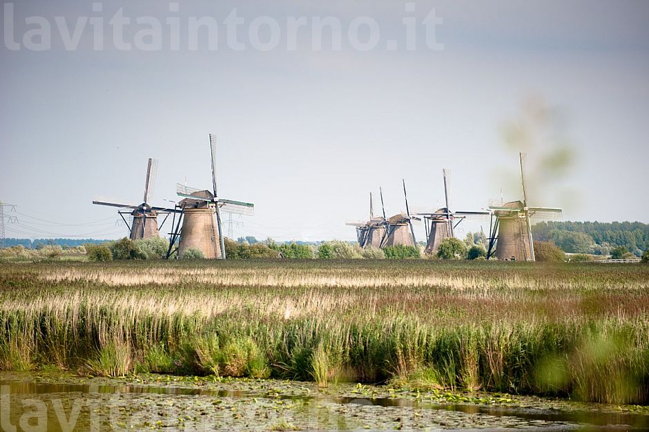 Kinderdijk: symbol of Holland