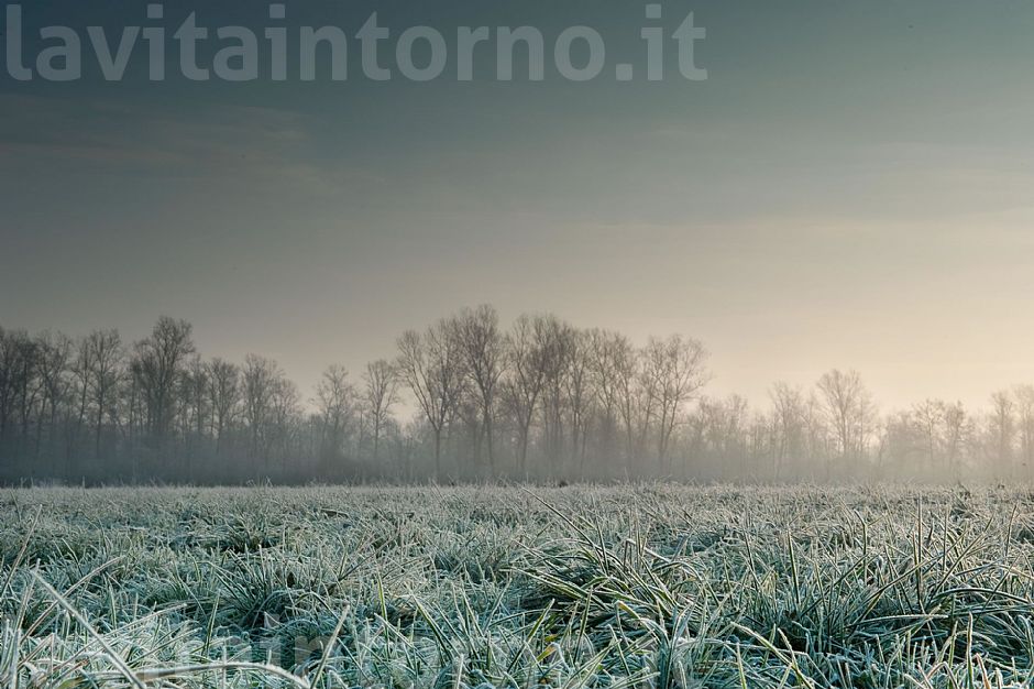 early morning