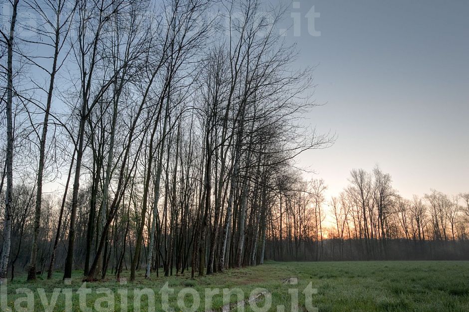 alba alla Fontane Bianche #2