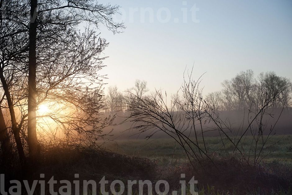 alba alla Fontane Bianche #4