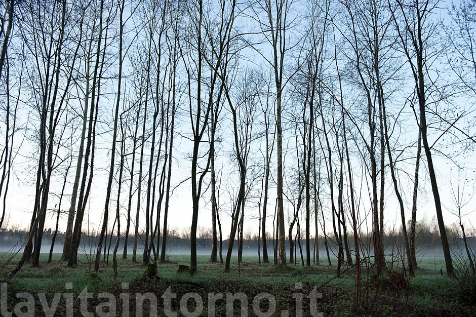 alba alle Fontane Bianche #5