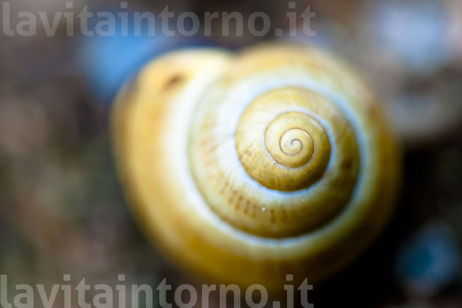 praise of slowness #3