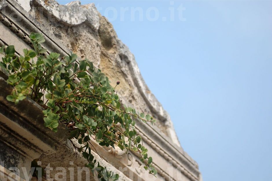 aggrapparsi e non cedere mai