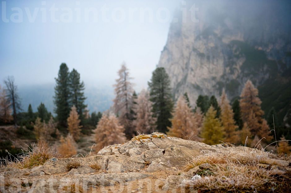 MyAutumn #2