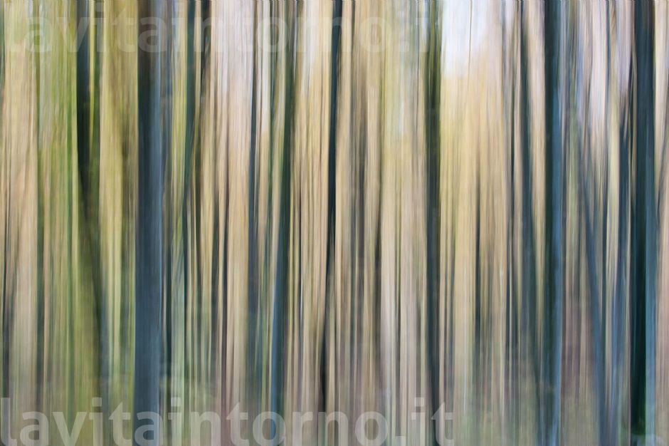 dynamic autumn #3