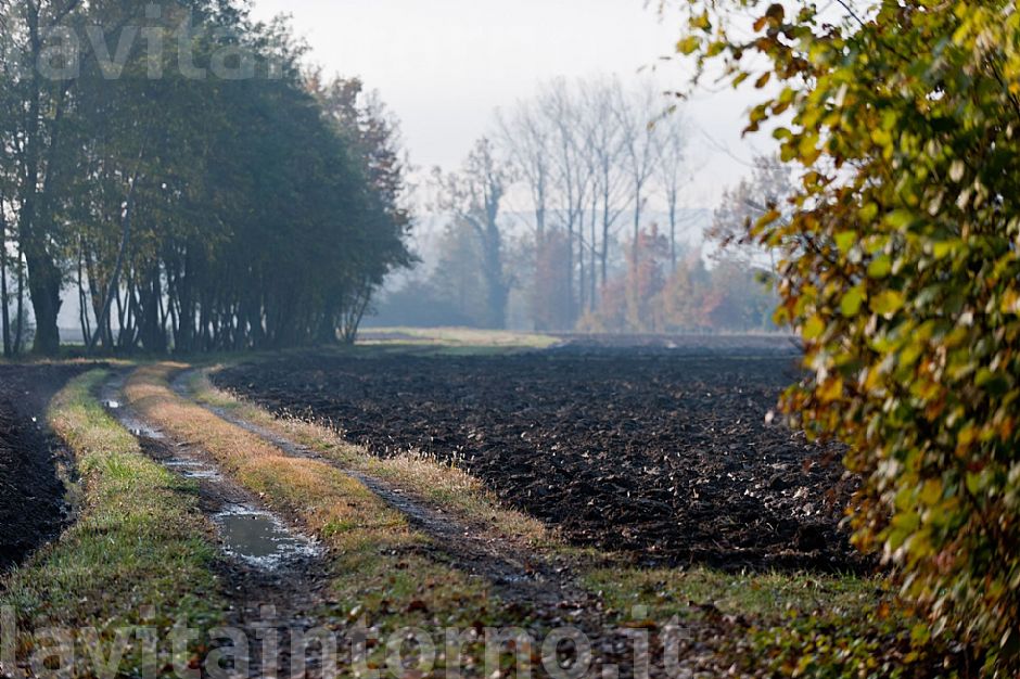 MyAutumn #8