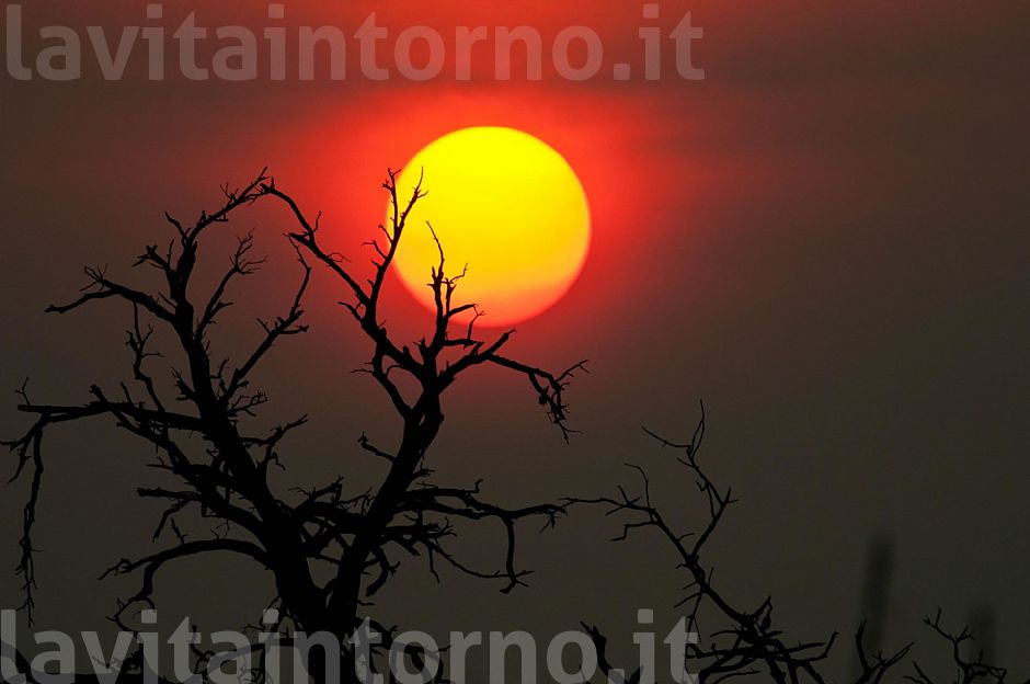 ephemeral hope of peace