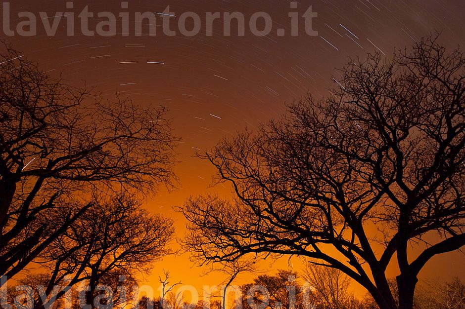 Chobe National Park: star trail