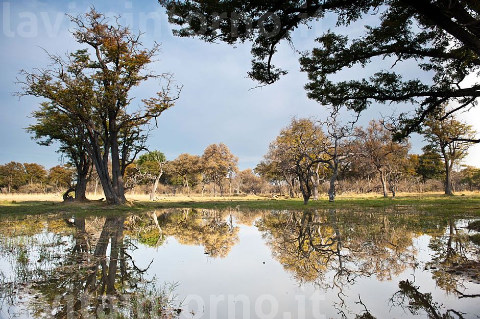 okavango delta #2