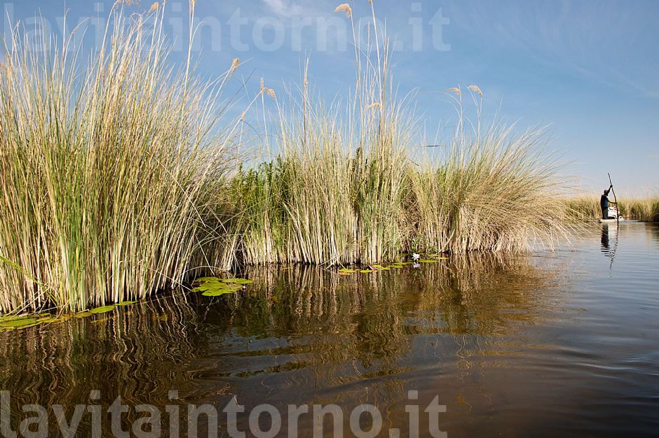 okavango delta #3
