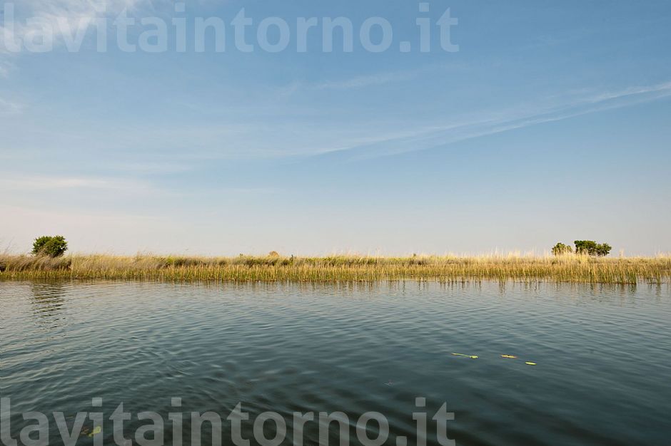 okavango delta #4