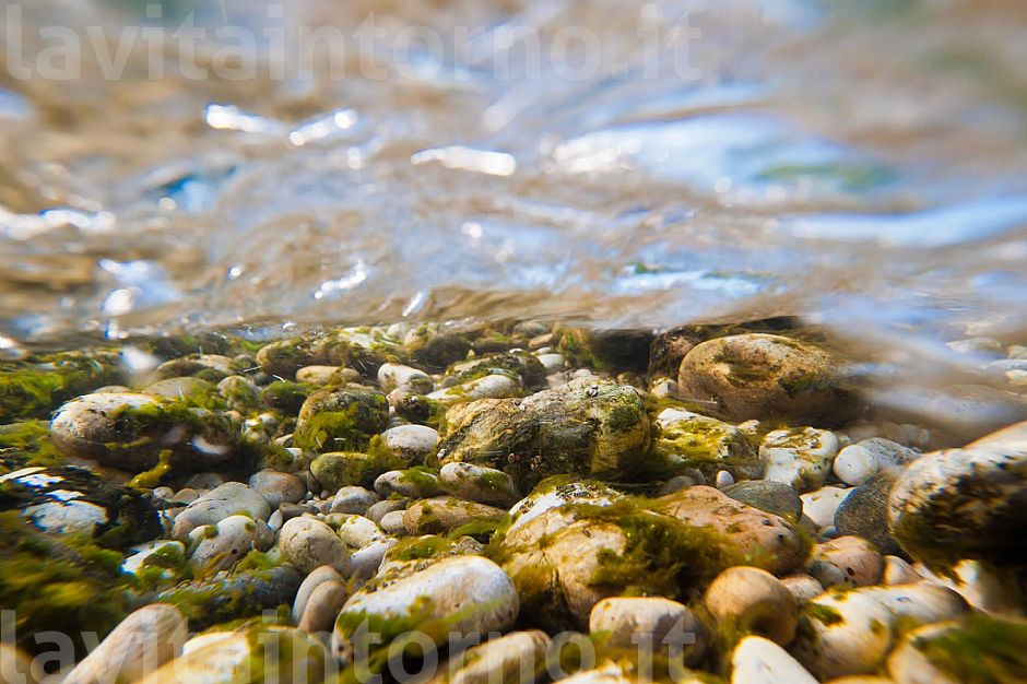 Piave - Underwater xp