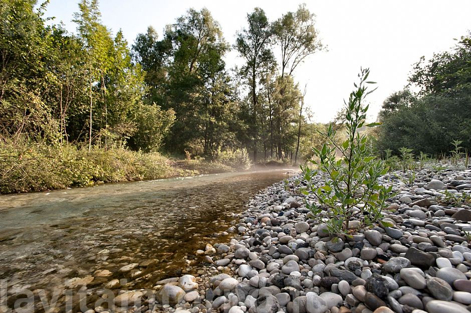 Piave - Early Morning #3