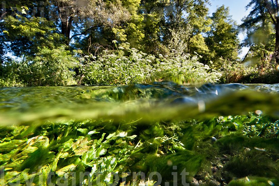 shallow water @ Fontane Bianche