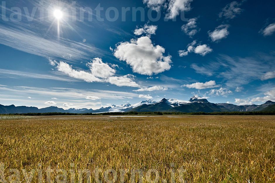 in the land of bears