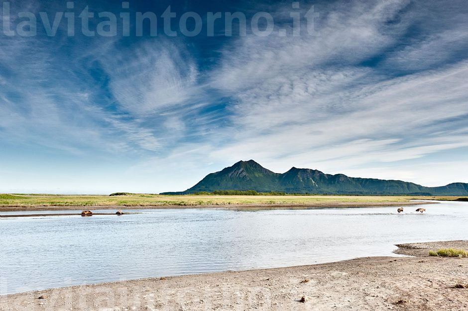 in the land of bears #2