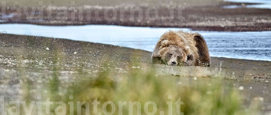 waiting disappointment