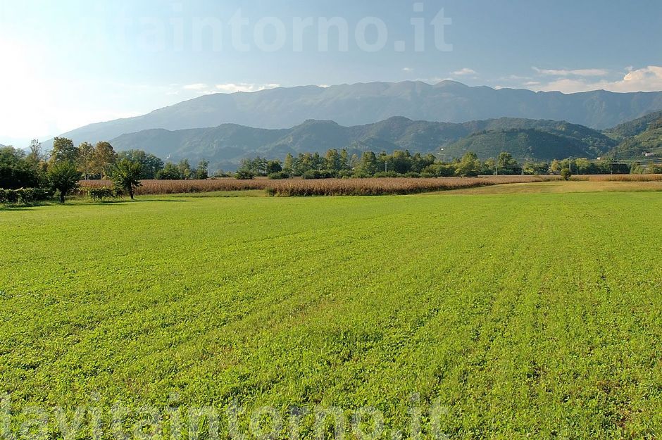 cartolina da casa #4