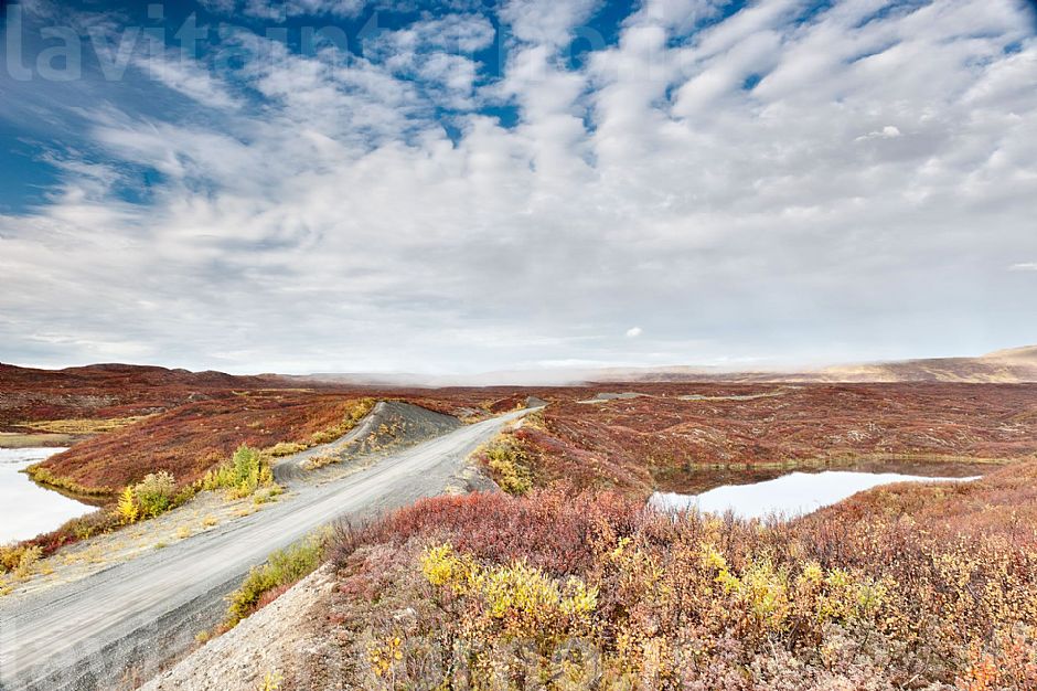 Denali Highway
