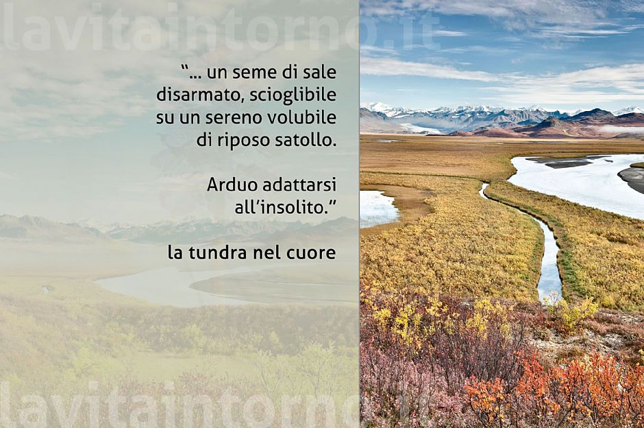 tundra heart #2