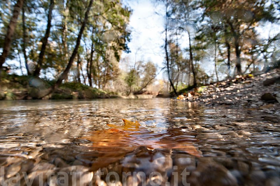 autumn @ Fontane Bianche #2