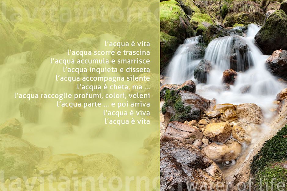 the water of life #2