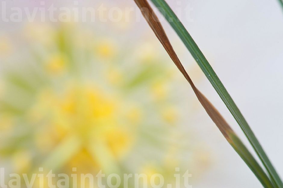 late winter colors #2