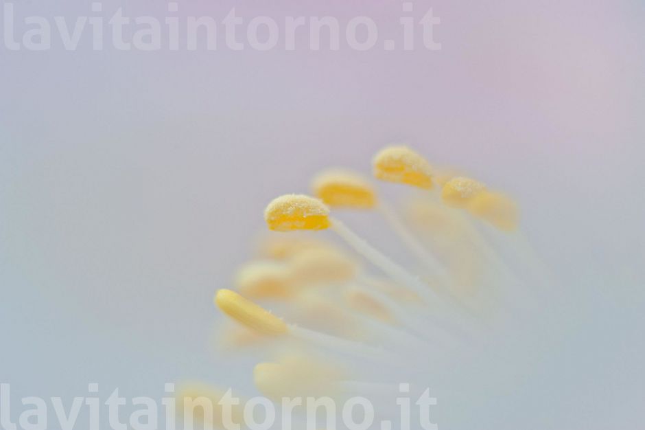 late winter colors #3