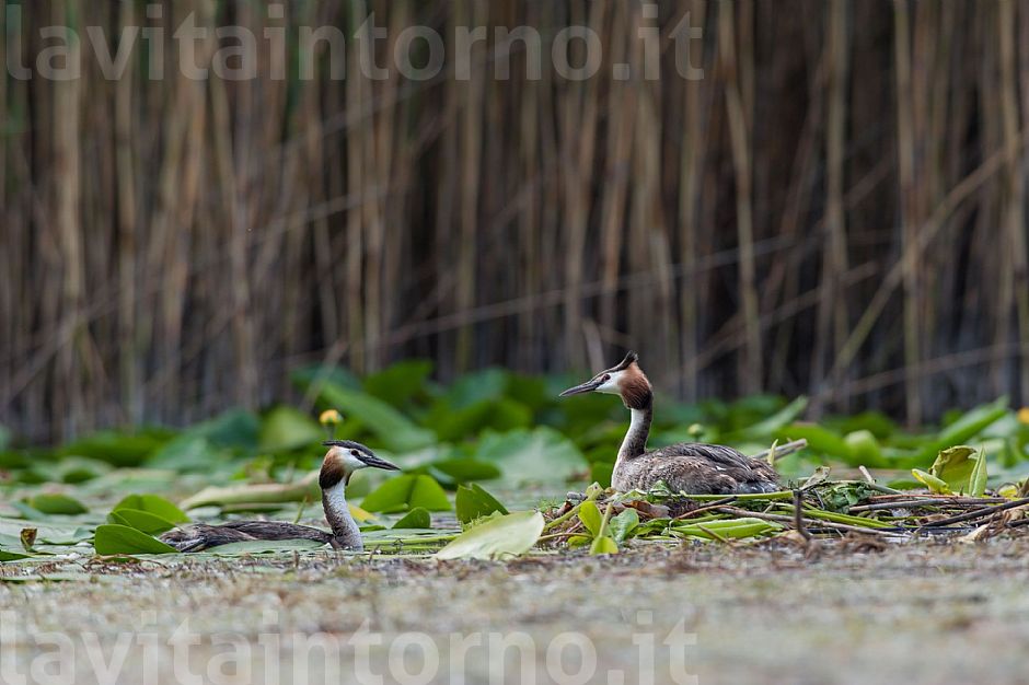 old friend of shots #3