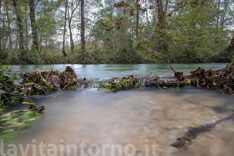 motion @ Fontane Bianche