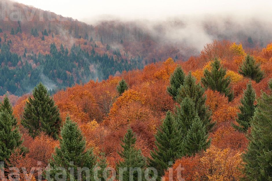 seasonal colors #2