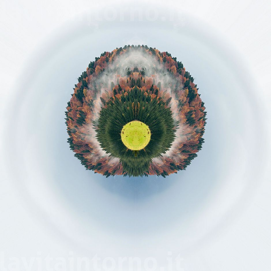 looking for a alternative brain